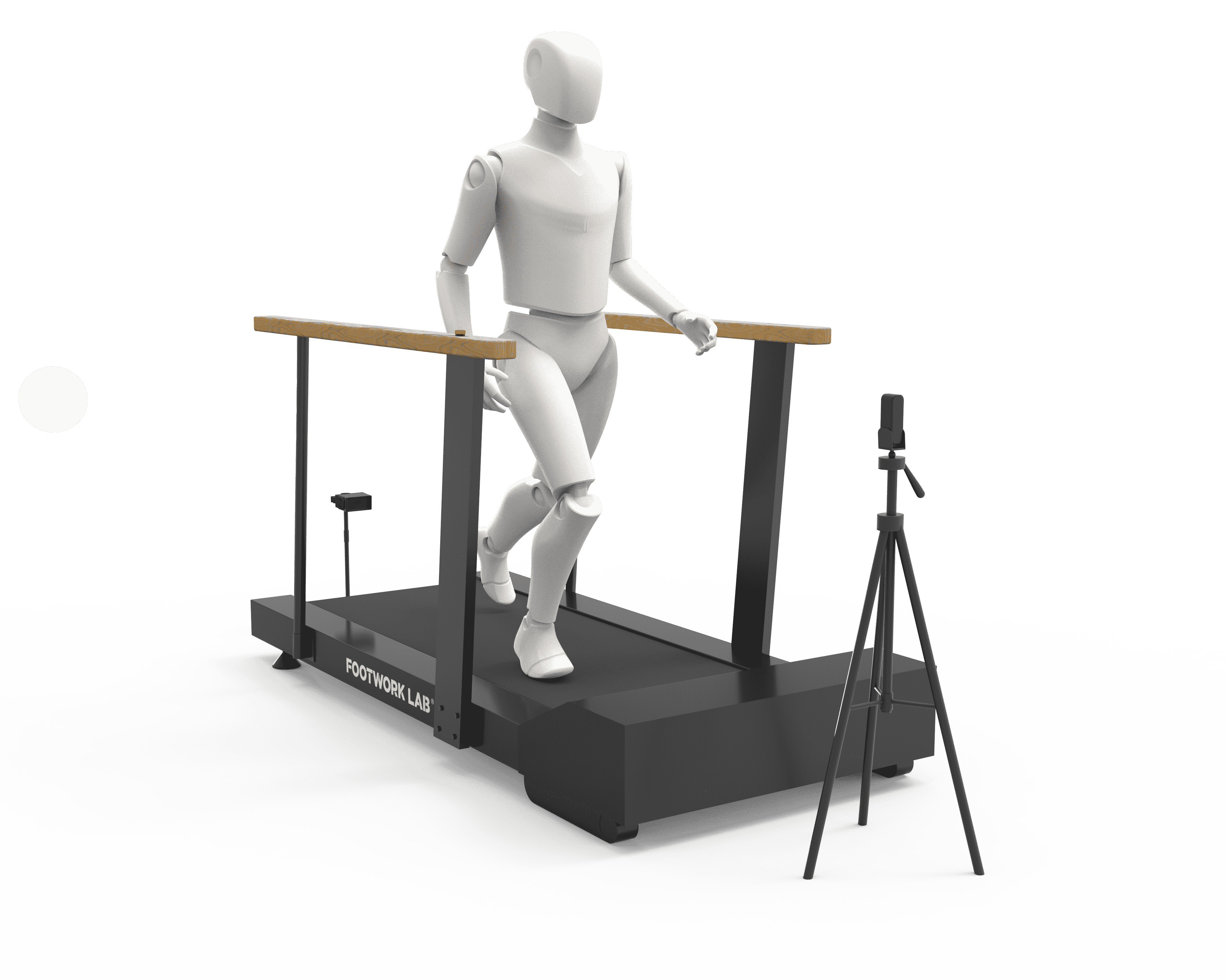 Gait Scan Analysis